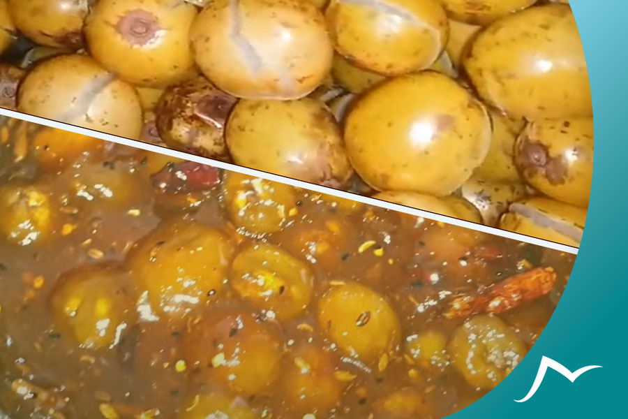 A Journey to the Heart of Nepali Hog Plum: The Lapsi Fruit A Journey to the Heart of Nepali Hog Plum: The Lapsi Fruit